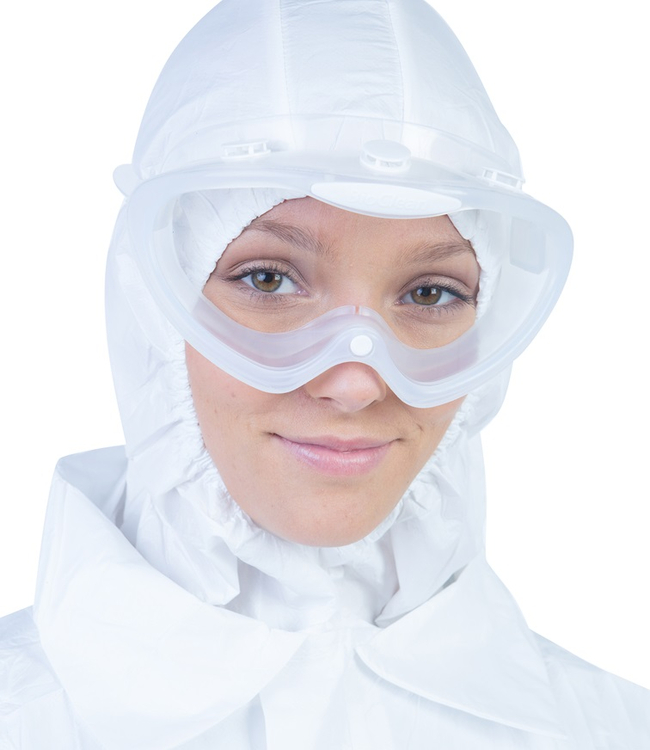 BioClean&trade; BCAH Clearview Autoclavable Goggles