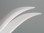 White Disposable Forceps