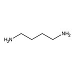 1,4-Diaminobutane, 99%