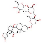 Digoxin, 96%