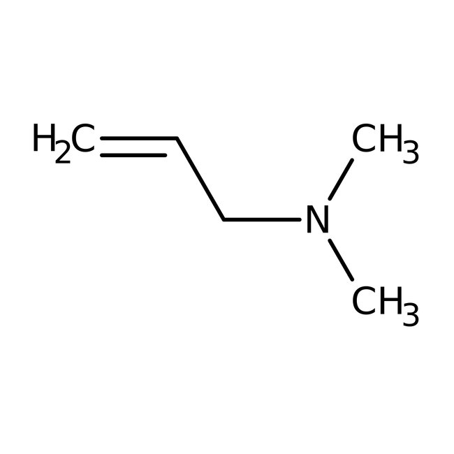 N,N-Dimethylallylamine, 98%