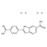 4',6'-Diamidino-2-phenylindole dihydrochloride, 98%