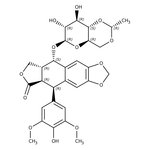 Etoposide