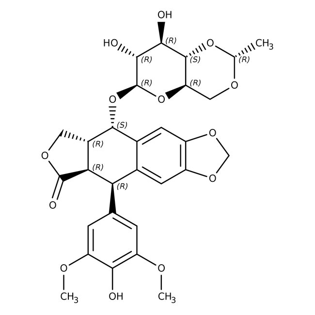 Etoposide