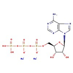 Adenosine-5'-triphosphate disodium salt hydrate, 99%, water &lt;10%