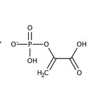Phosphoenolpyruvic acid monopotassium salt, 99%