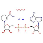 beta-Nicotinamide adenine dinucleotide reduced disodium salt trihydrate, 98%