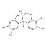 Hematoxylin (Certified Biological Stain), Fisher Chemical&trade;