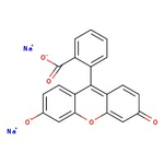Fluorescein disodium salt