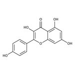 Kaempferol, 97%