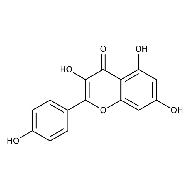 Kaempferol, 97%
