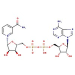 beta-Nicotinamide adenine dinucleotide, 97%