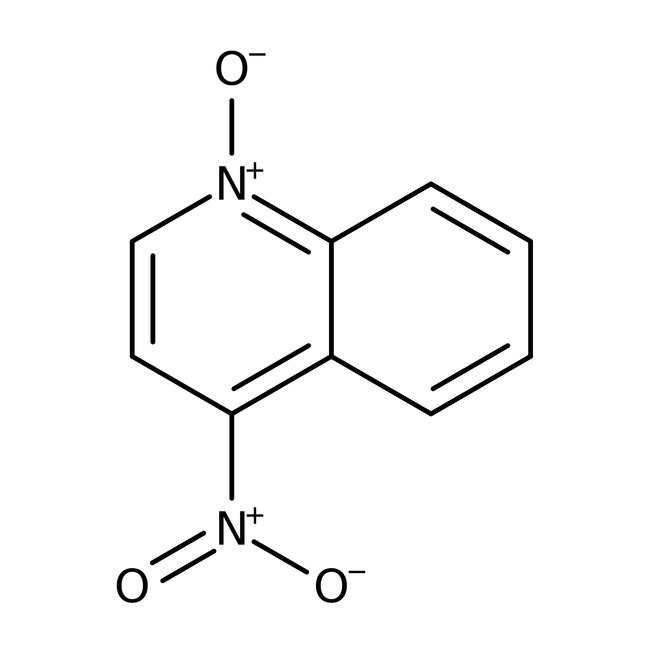 4-Nitroquinoline-N-oxide, 98%