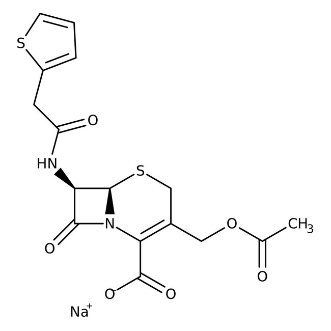 Cephalothin sodium salt