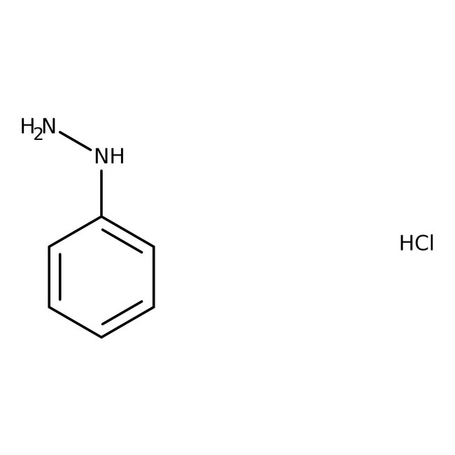 Phenylhydrazine hydrochloride, 99%, Thermo Scientific Chemicals