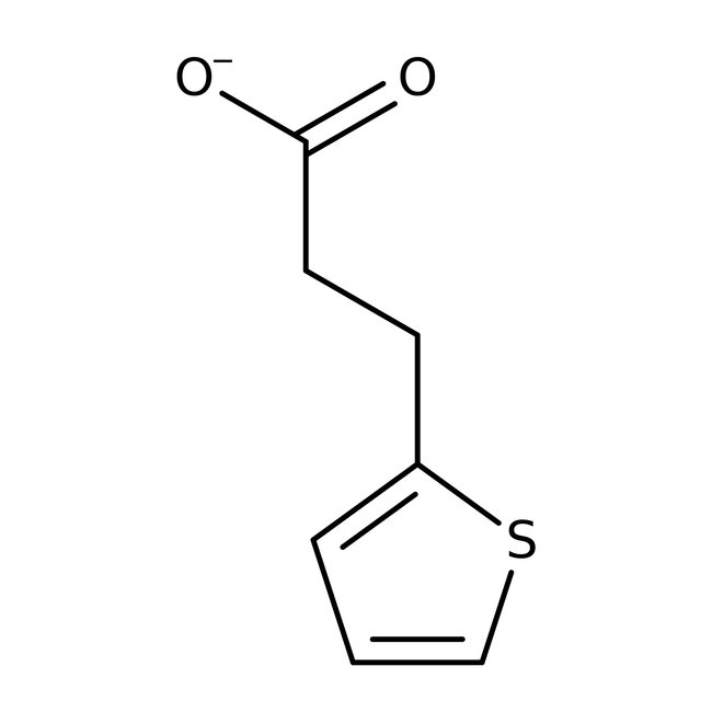3-(2-Thienyl)propanoic acid, 98%