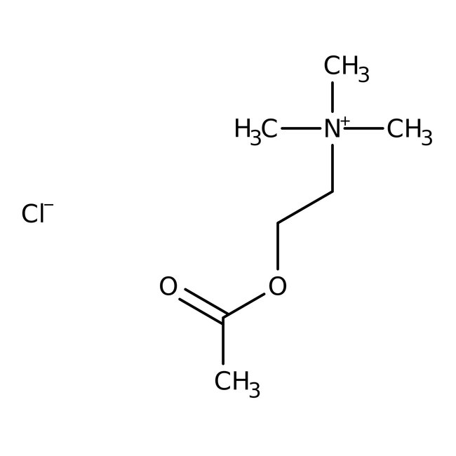 Acetylcholine Chloride, 99%