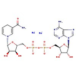 beta-Nicotinamide adenine dinucleotide reduced disodium salt, 97%