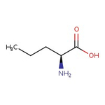 L-Norvaline, 99%