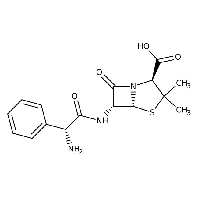 Ampicillin