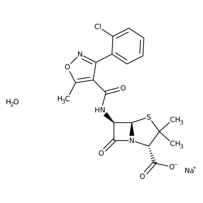 Cloxacillin sodium salt monohydrate
