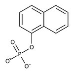 1-Naphthyl phosphate, monosodium salt monohydrate, 98+%