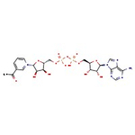 3-Acetylpyridine adenine dinucleotide, 90%