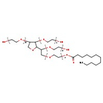 Polysorbate 20