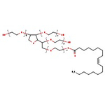 Polysorbate 80