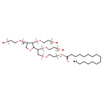 Polysorbate 40
