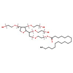 Polysorbate 60