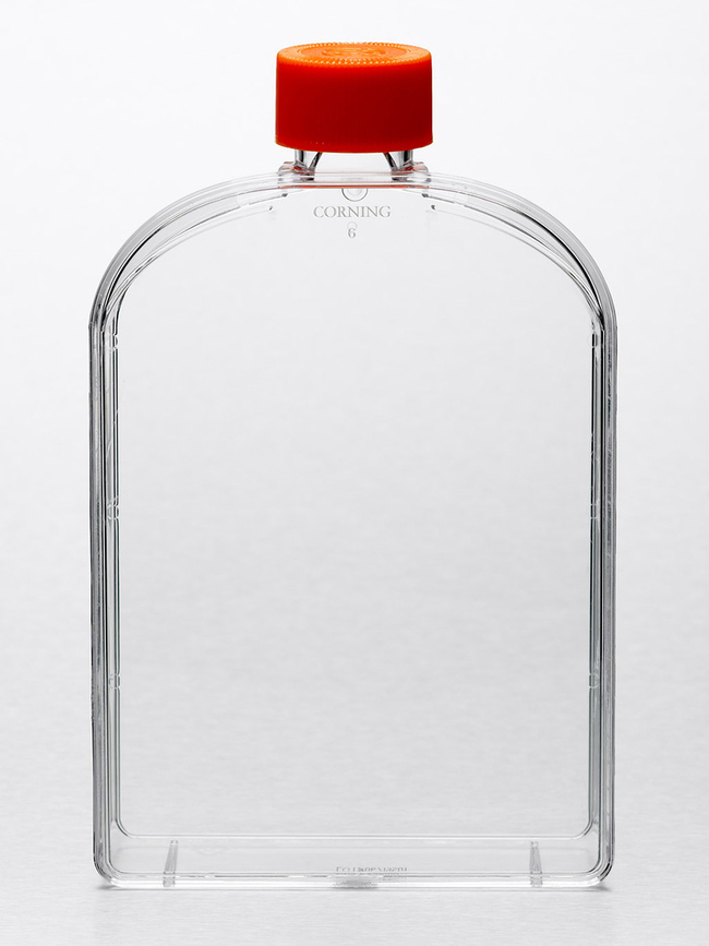 CellBIND&trade; Surface Cell Culture Flasks
