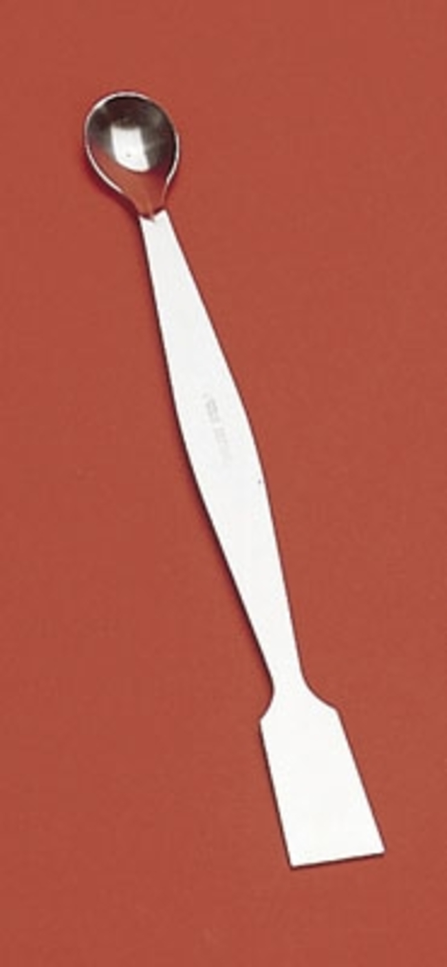 Stainless Steel Spoon/Spatula Combo Utensils