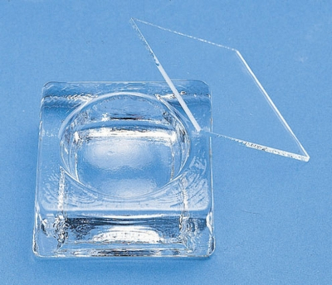 Glass Staining Block
