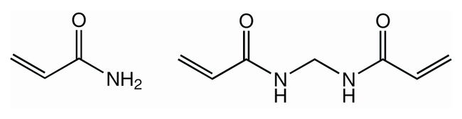 Acrylamide/Bisacrylamide 19:1, powder