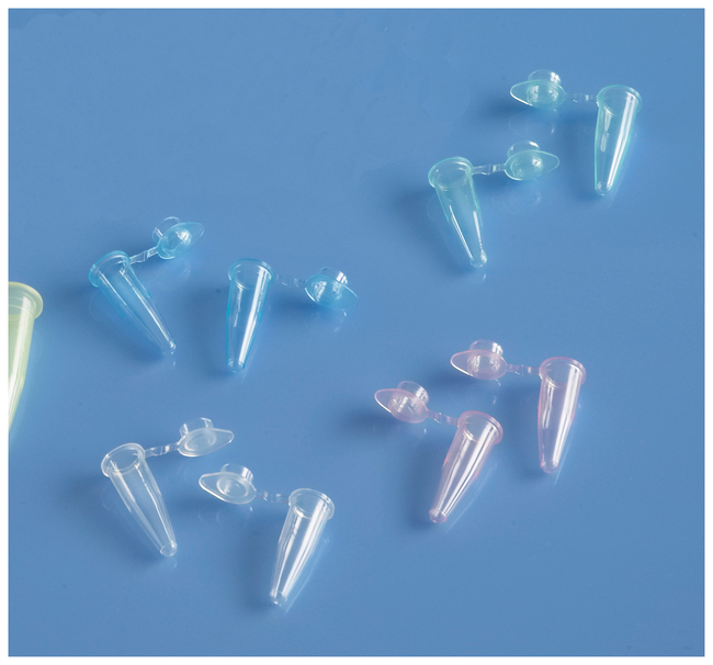 0.2mL PCR Tubes