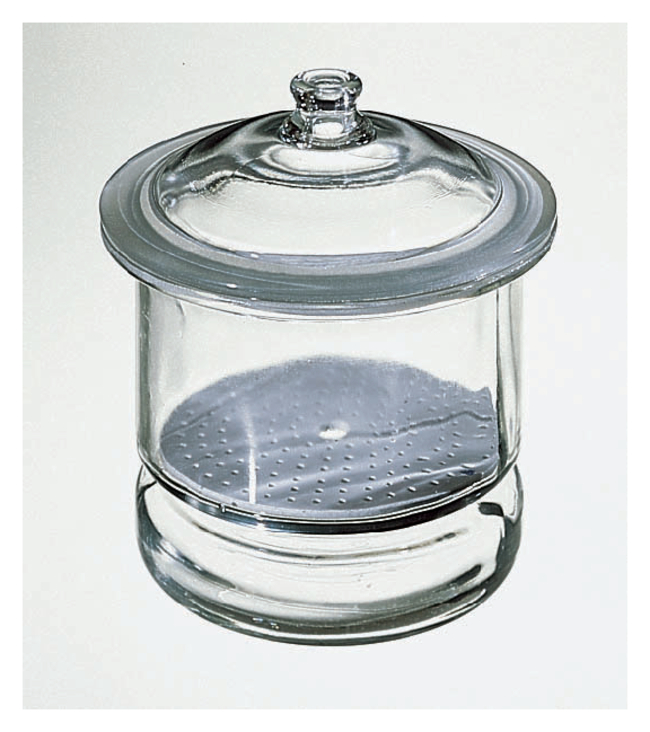 Desiccator with Porcelain Plate