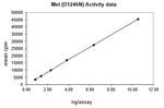 Met (D1246N) Protein, Active