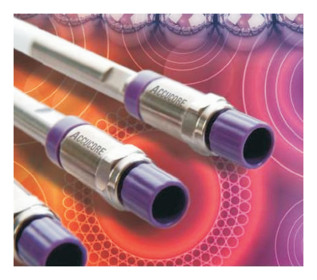 Accucore&trade; C30 HPLC Columns