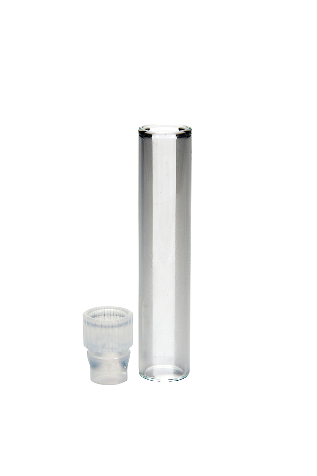 Shell Vials