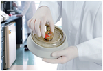 24 x 1.5/2.0 mL Rotor with ClickSealTM Biocontainment Lid for Sorvall Legend Micro, MicroCL, Pico and Fresco Centrifuges