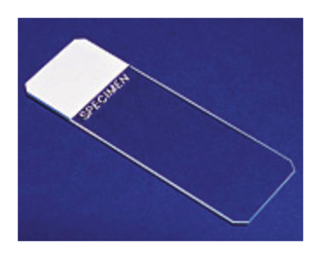 Superfrost&trade; Plain and Frosted Clipped Corner Microscope Slides