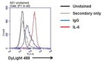 IL-6 Monoclonal Antibody (5IL6)