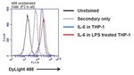 IL-6 Monoclonal Antibody (5IL6)