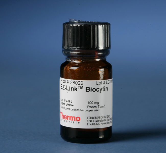 EZ-Link&trade; Biocytin